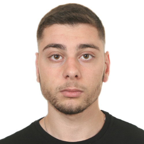 Ioannis Dimotsis